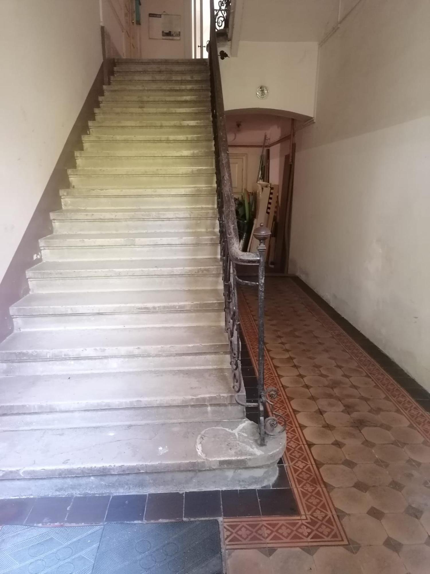 2 Botanical Garden Budget Zagabria